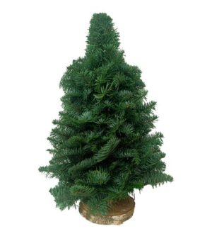Árbol Nobilis (30 cm)
