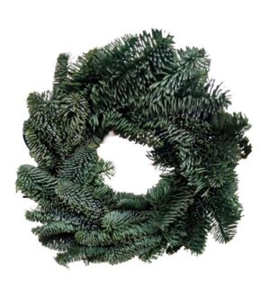 Corona Nobilis (50 cm)