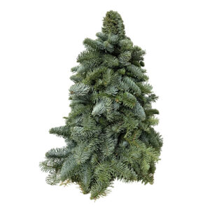 Árbol Nobilis 50 cm