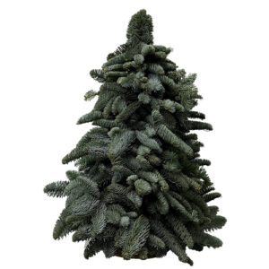 Árbol de Navidad 60