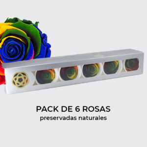 Rosa Preservada de Botón Kiara (Arco Iris)