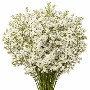 Flor De Cera