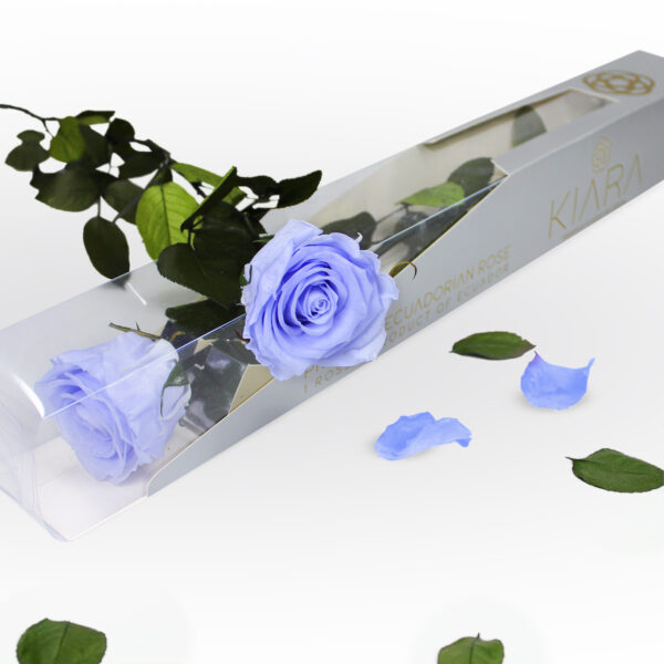 20× Rosa preservada Kiara Cool Lavander – 55 cm - Imagen 2