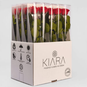 20× Rosa preservada Kiara Roja Vibrante – 55 cm
