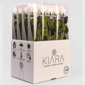 20× Rosa preservada Kiara Blanca – 55 cm