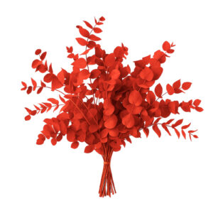 Eucalipto Tinturado Rojo