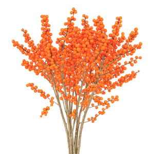 Ilex Naranja 50cm