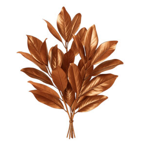 Hoja Magnolia Bronce