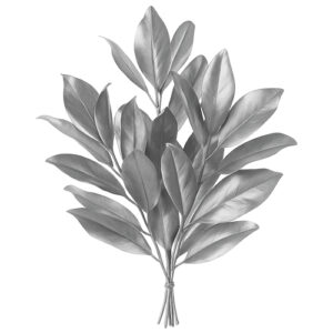 Hoja Magnolia Plata