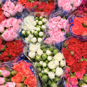 Clavel Mini Mix