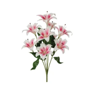 Lilium Oriental Fuxia