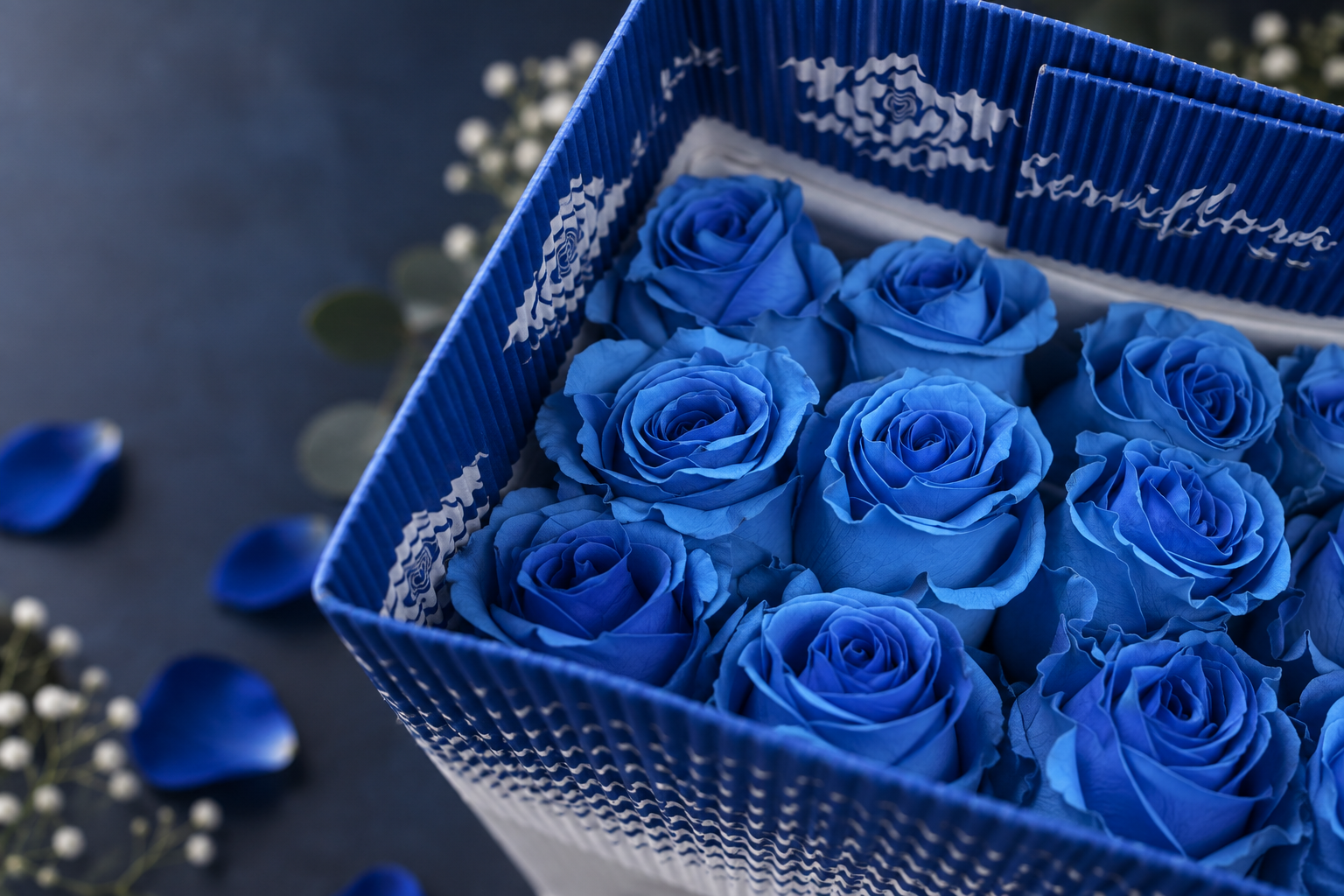 Rosas azules para el Día del Novio